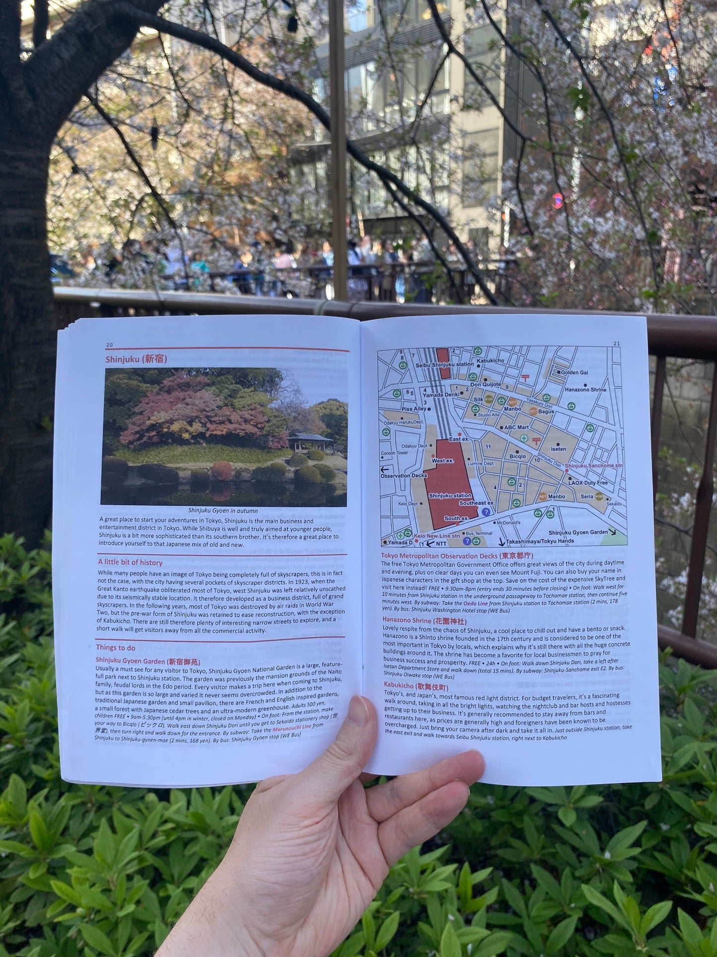 Super Cheap Japan: Budget Travel in Tokyo, Kyoto, Osaka, Nara, Hiroshima and Surrounding Areas (Paperback)