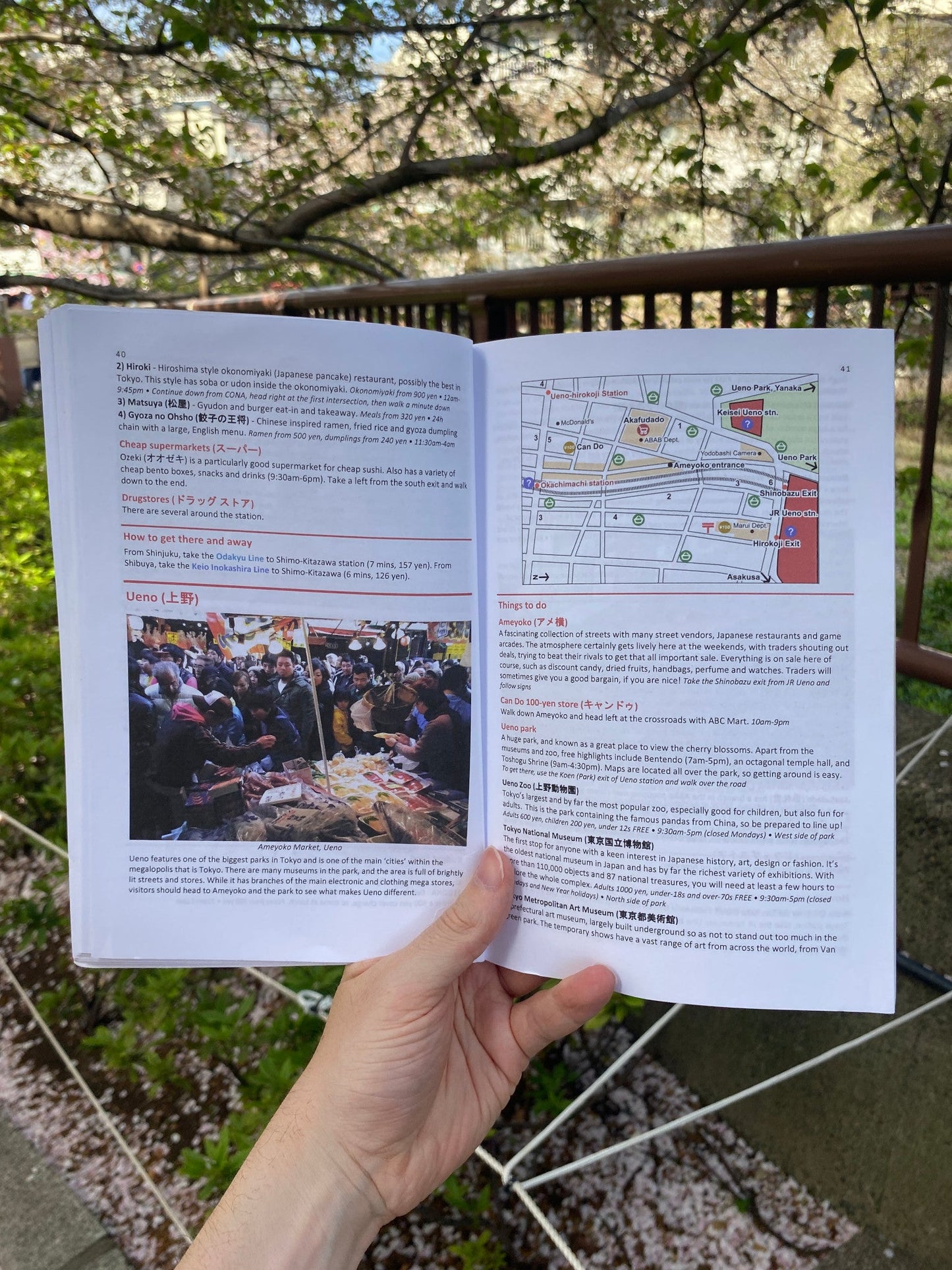 Super Cheap Japan: Budget Travel in Tokyo, Kyoto, Osaka, Nara, Hiroshima and Surrounding Areas (Paperback)