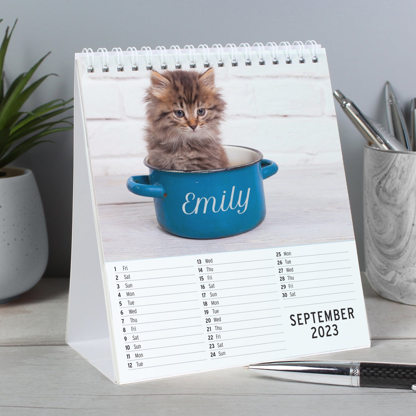Personalised Cats And Kittens Desk 2026 Calendar