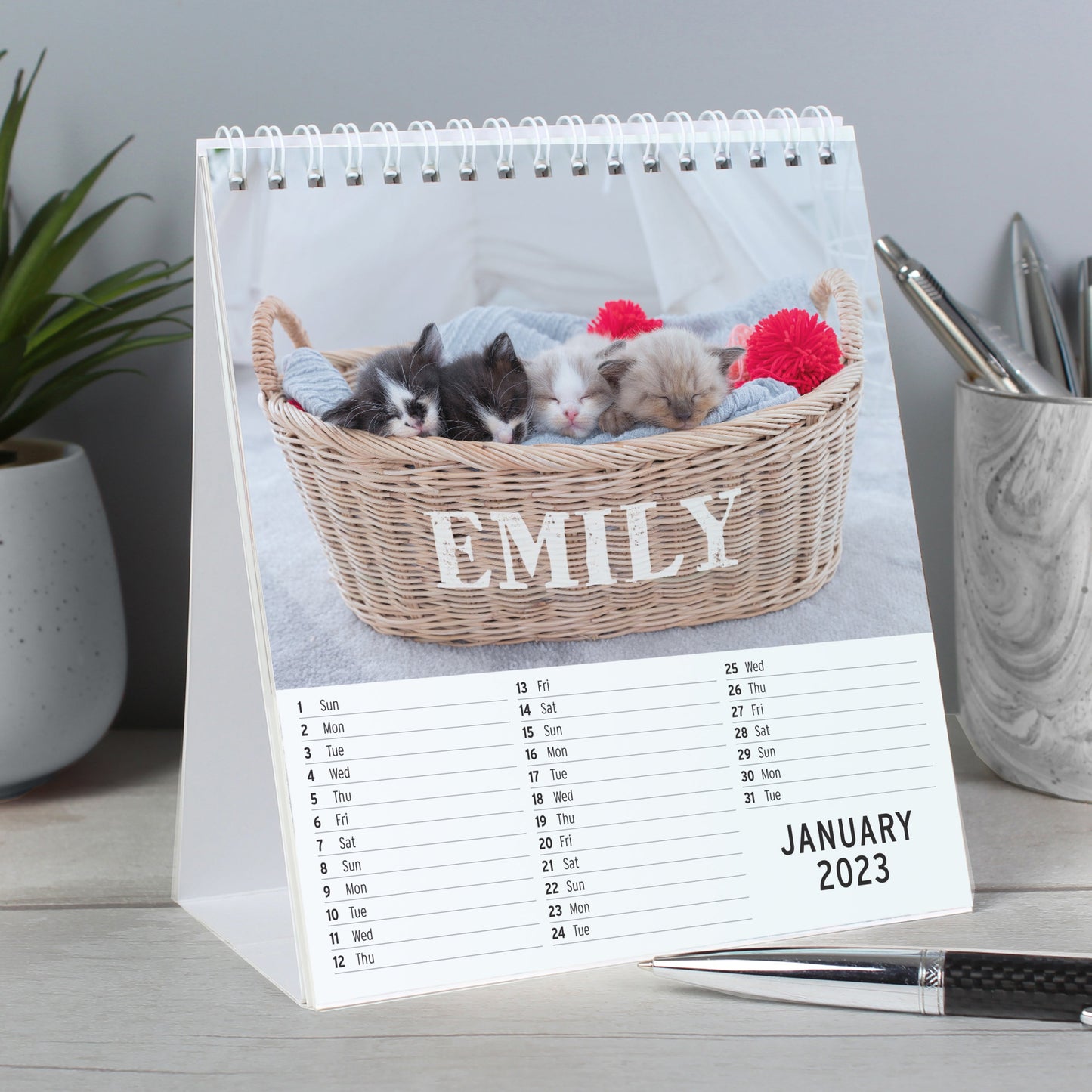 Personalised Cats And Kittens Desk 2026 Calendar