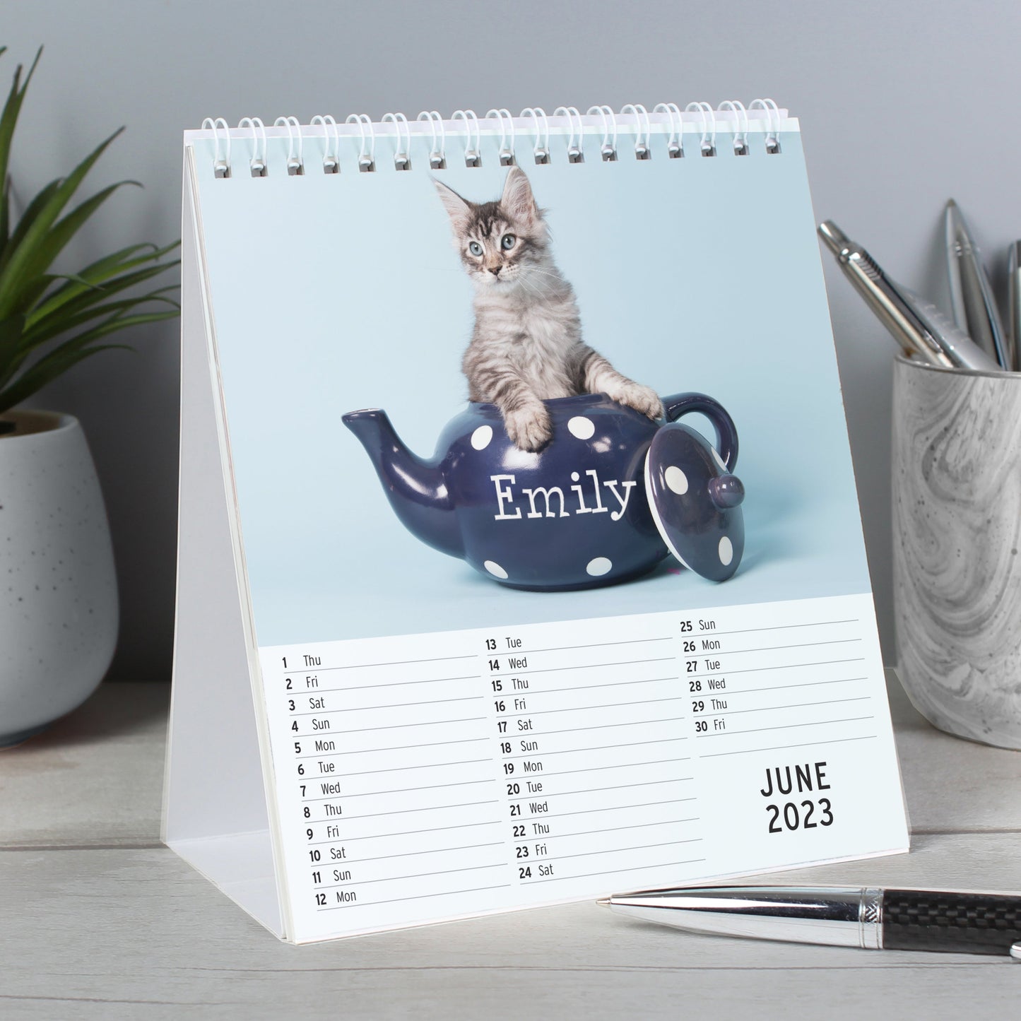 Personalised Cats And Kittens Desk 2026 Calendar
