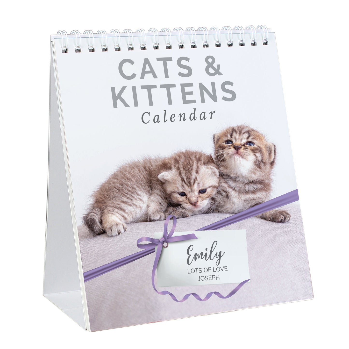 Personalised Cats And Kittens Desk 2026 Calendar