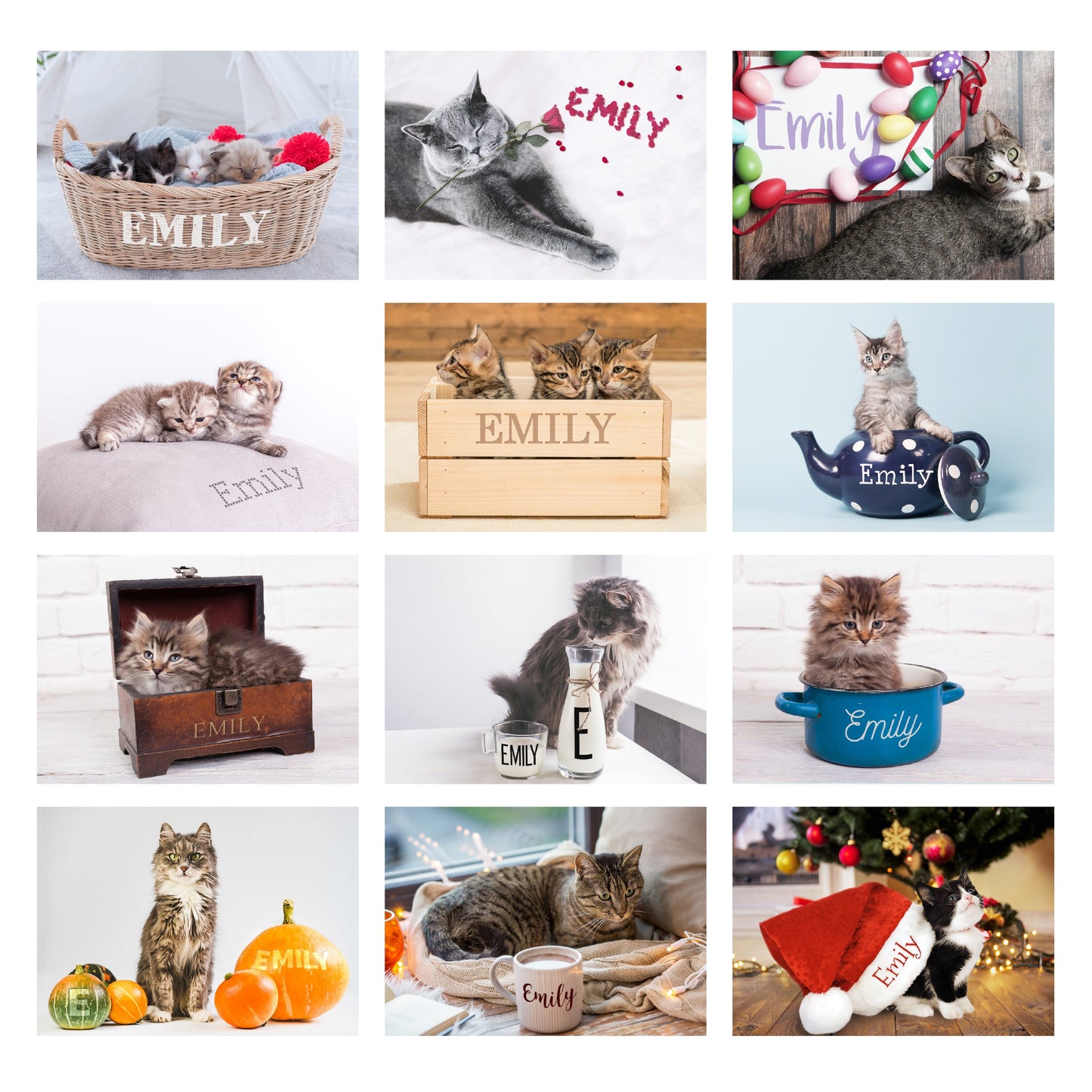 Personalised Cats And Kittens Desk 2026 Calendar